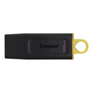 Memoria USB Kingston Technology DTX/128GB