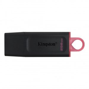 Memoria USB Kingston Technology DTX/256GB
