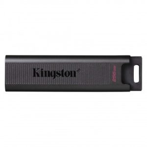 Memoria USB Kingston Technology DTMAX/256GB