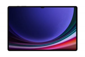 Tablet SAMSUNG SAMSUNG GALAXY TAB S9 ULTRA 256GB